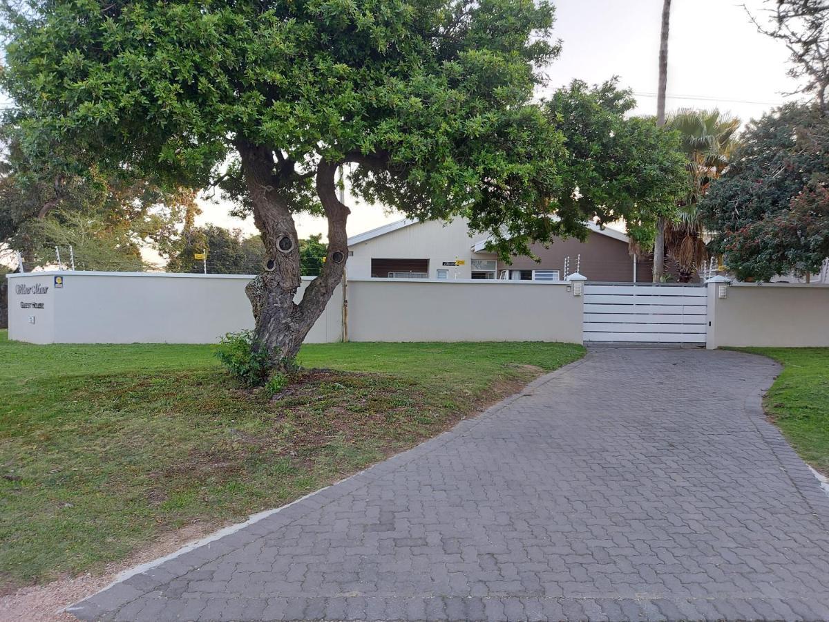 Walmer Manor Port Elizabeth Exterior photo